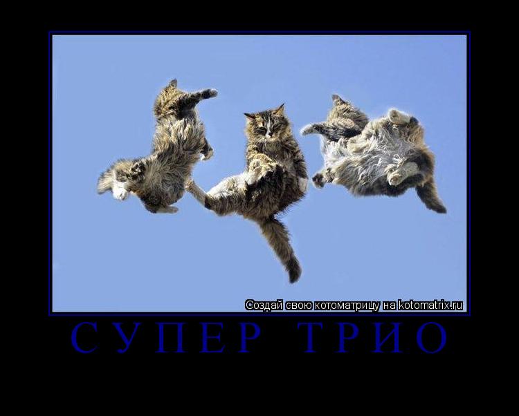Котоматрица: супер трио 