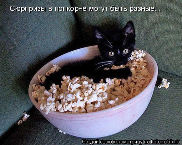 Сюрпризы в попкорне могут быть разные...... Котоматрица: Сюрпризы в попкорне могут быть разные...