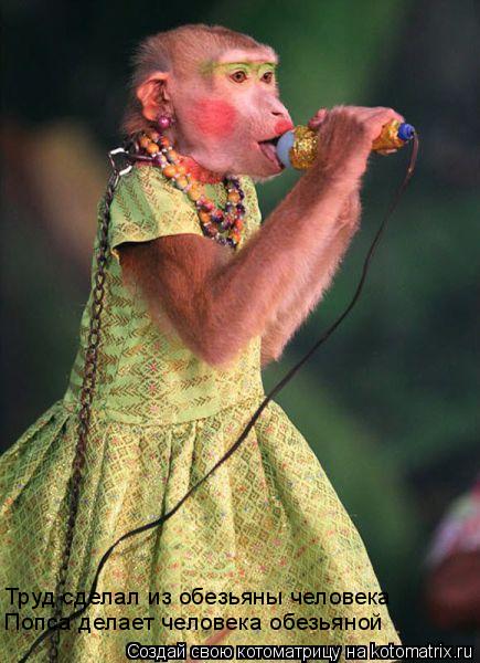 Труд сделал из обезьяны человека Попса делает человека обезьяной... Котоматрица: Труд сделал из обезьяны человека Попса делает человека обезьяной