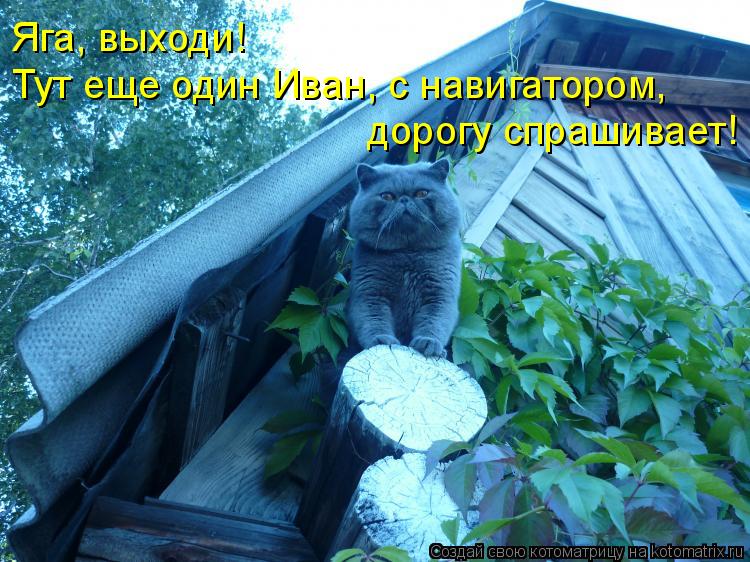 Яга, выходи! Тут еще один Иван, с навигатором, дорогу спрашивает!... Котоматрица: Яга, выходи! Тут еще один Иван, с навигатором, дорогу спрашивает!