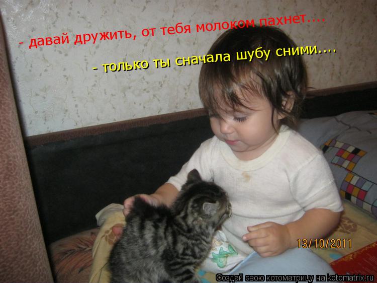 - давай дружить, от тебя молоком пахнет.... - только ты сначала шубу сними....... Котоматрица: - давай дружить, от тебя молоком пахнет.... - только ты сначала шубу сними....