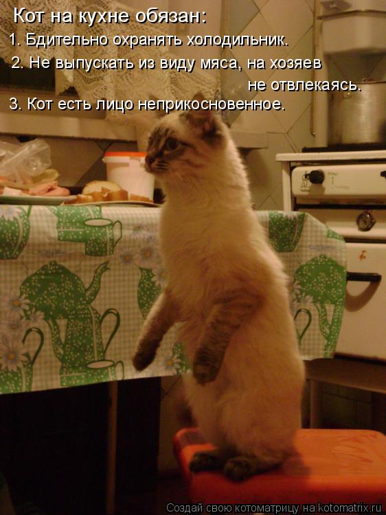 Кот на кухне обязан: 1. Бдительно охранять холодильник. 2. Не выпускать из виду мяса, на хозяев не ... Котоматрица: Кот на кухне обязан: 1. Бдительно охранять холодильник. 2. Не выпускать из виду мяса, на хозяев не отвлекаясь. 3. Кот есть лицо неприкосновенн