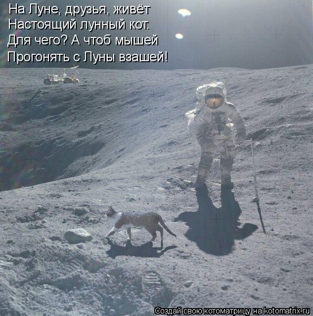 На Луне, друзья, живёт Настоящий лунный кот. Для чего? А чтоб мышей Прогонять с Луны взашей!... Котоматрица: На Луне, друзья, живёт Настоящий лунный кот. Для чего? А чтоб мышей Прогонять с Луны взашей!