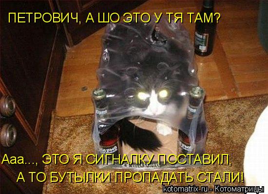 ПЕТРОВИЧ, А ШО ЭТО У ТЯ ТАМ? Ааа..., ЭТО Я СИГНАЛКУ ПОСТАВИЛ, А ТО БУТЫЛКИ ПРОПАДАТЬ СТАЛИ!... Котоматрица: ПЕТРОВИЧ, А ШО ЭТО У ТЯ ТАМ? Ааа..., ЭТО Я СИГНАЛКУ ПОСТАВИЛ, А ТО БУТЫЛКИ ПРОПАДАТЬ СТАЛИ!