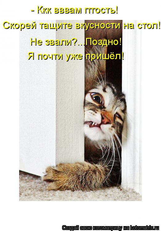- Ккк вввам гггость! Скорей тащите вкусности на стол! Не звали?...Поздно! Я почти уже пришёл!... Котоматрица: - Ккк вввам гггость! Скорей тащите вкусности на стол! Не звали?...Поздно! Я почти уже пришёл!