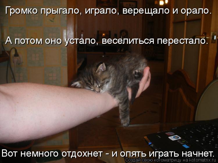 А потом оно устало, веселиться перестало. Громко прыгало, играло, верещало и орало. Вот немного отдо... Котоматрица: А потом оно устало, веселиться перестало. Громко прыгало, играло, верещало и орало. Вот немного отдохнет - и опять играть начнет.