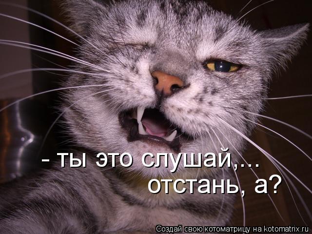 - ты это слушай,... отстань, а?... Котоматрица: - ты это слушай,... отстань, а?