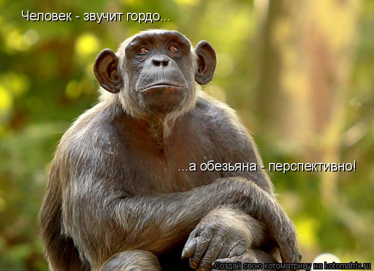 Человек - звучит гордо... ...а обезьяна - перспективно!... Котоматрица: Человек - звучит гордо... ...а обезьяна - перспективно!
