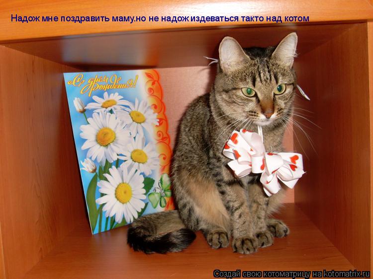 Надож мне поздравить маму.но не надож издеваться такто над котом... Котоматрица: Надож мне поздравить маму.но не надож издеваться такто над котом