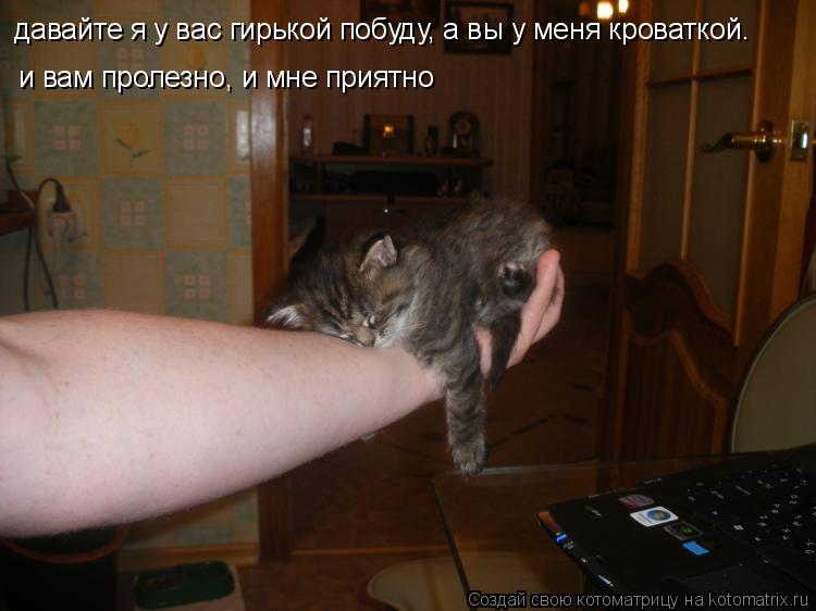 давайте я у вас гирькой побуду, а вы у меня кроваткой. и вам пролезно, и мне приятно... Котоматрица: давайте я у вас гирькой побуду, а вы у меня кроваткой. и вам пролезно, и мне приятно