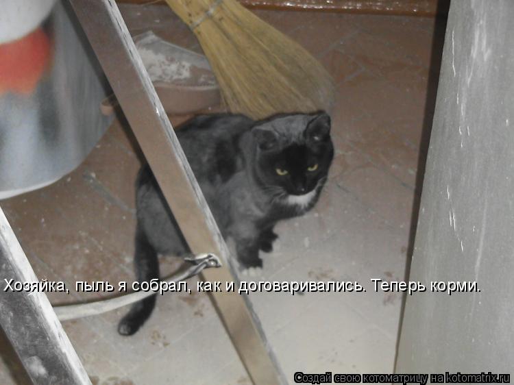 Хозяйка, пыль я собрал, как и договаривались. Теперь корми.... Котоматрица: Хозяйка, пыль я собрал, как и договаривались. Теперь корми.