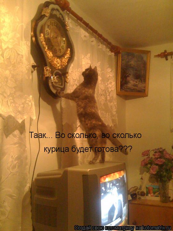 Таак... Во сколько, во сколько курица будет готова???... Котоматрица: Таак... Во сколько, во сколько курица будет готова???