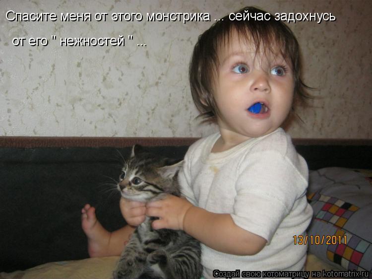 Котоматрица: Спасите меня от этого монстрика ... сейчас задохнусь  от его " нежностей " ...