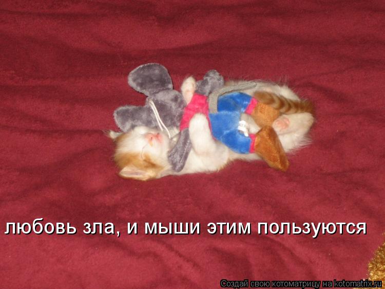 Котоматрица: любовь зла, и мыши этим пользуются