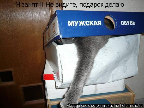 Котоматрица: Я занят!!! Не видите, подарок делаю!