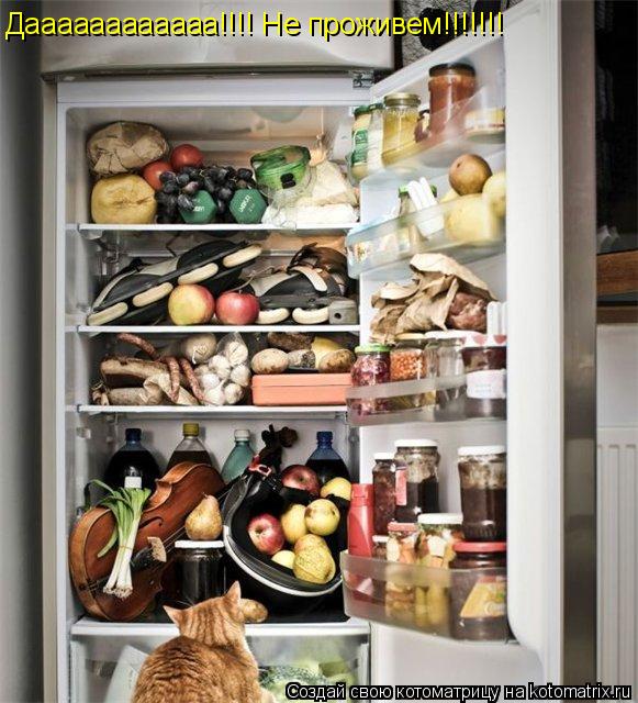 Котоматрица: Даааааааааааа!!!! Не проживем!!!!!!!