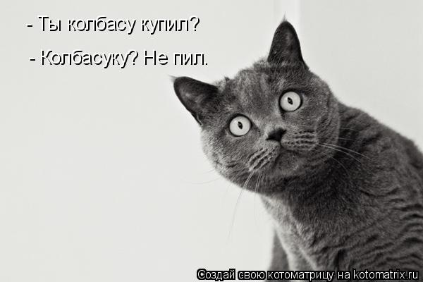 Котоматрица: - Колбасуку? Не пил. - Ты колбасу купил?