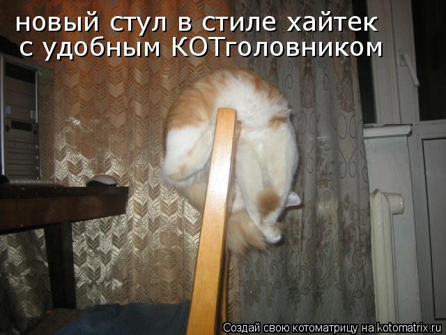 Котоматрица: новый стул в стиле хайтек с удобным КОТголовником