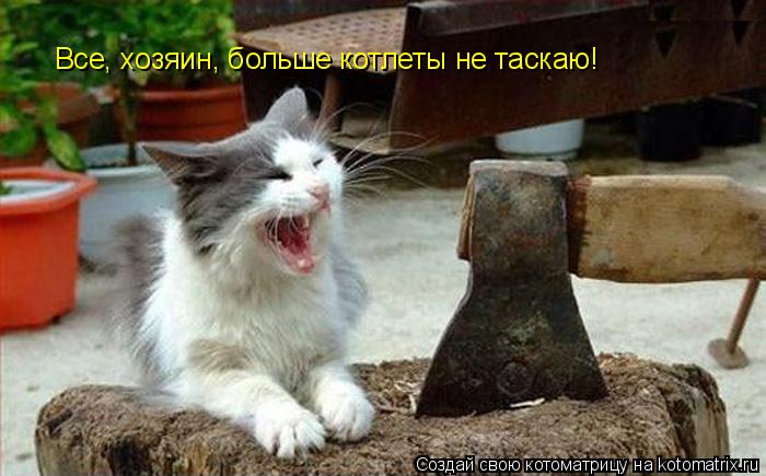 Котоматрица: Все, хозяин, больше котлеты не таскаю!