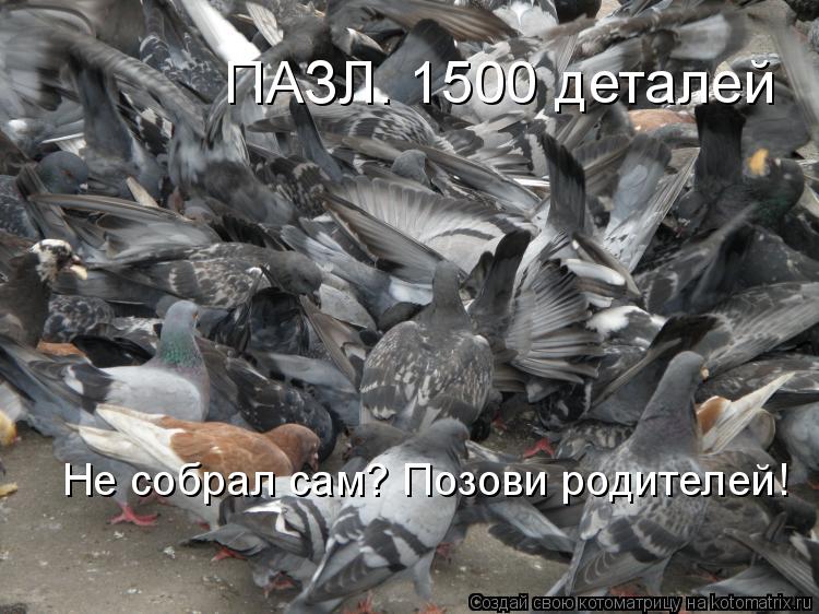 Котоматрица: ПАЗЛ. 1500 деталей Не собрал сам? Позови родителей!