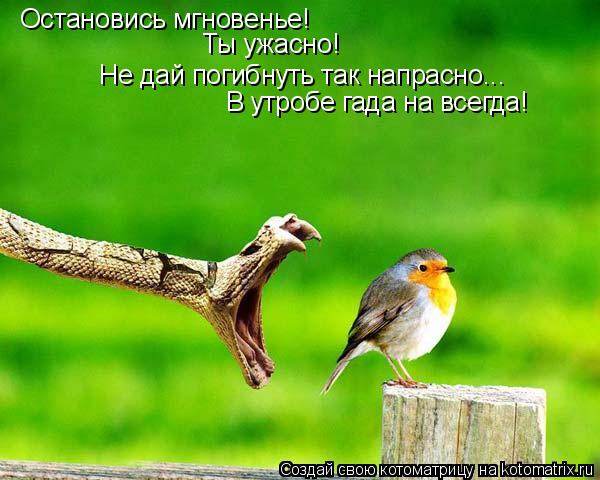 Котоматрица: Остановись мгновенье! Ты ужасно! Не дай погибнуть так напрасно... В утробе гада на всегда!