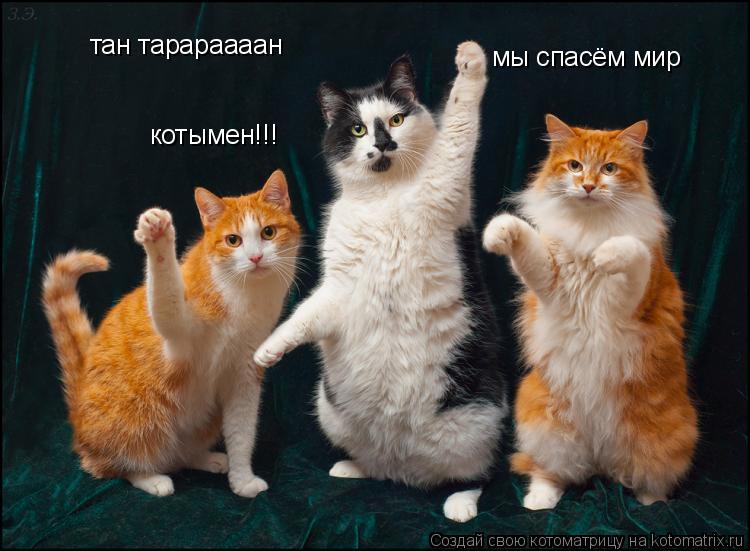 Котоматрица: тан тарараааан котымен!!! мы спасём мир