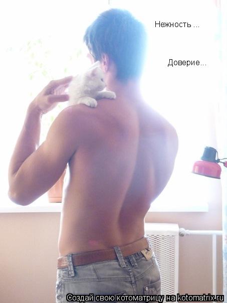 Котоматрица: Нежность ... Доверие...