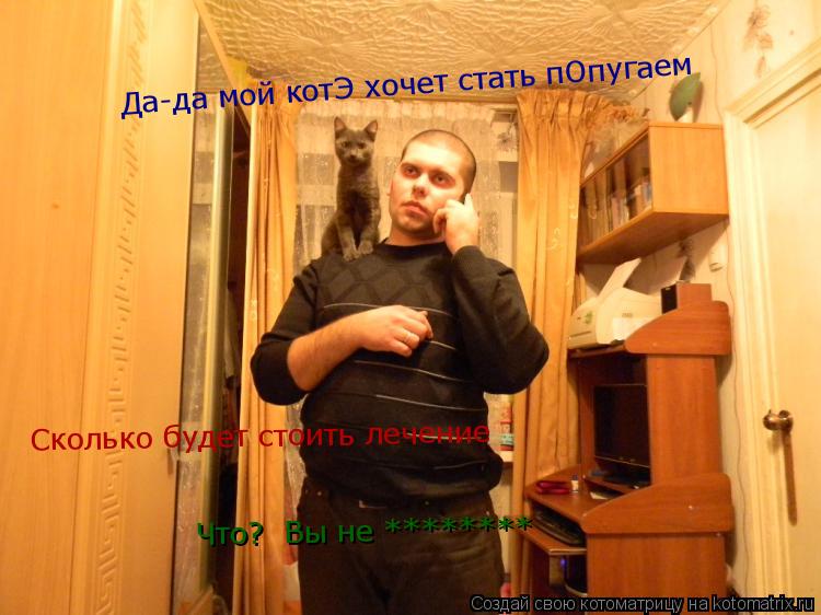 Котоматрица: Да-да мой котЭ хочет стать пОпугаем Сколько будет стоить лечение  Что?  Вы не ********