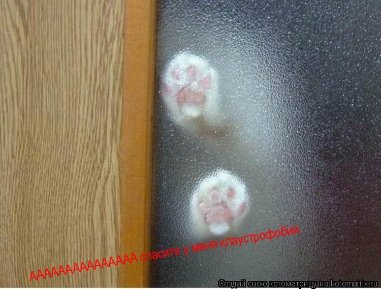 Котоматрица: ААААААААААААААА спасите у меня клаустрофобия