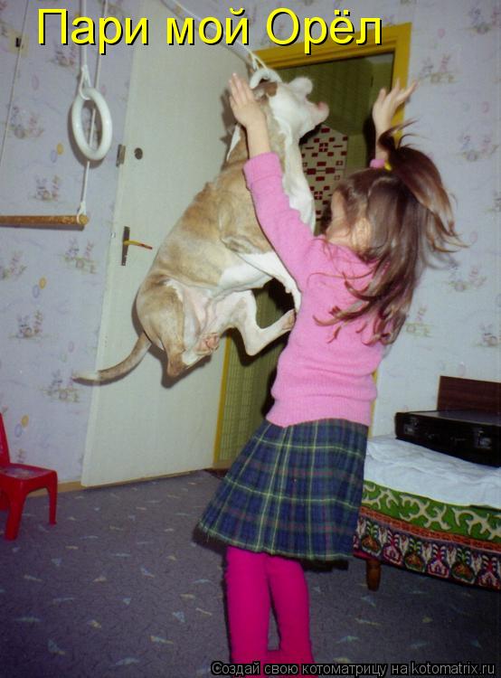 Котоматрица: Пари мой Орёл