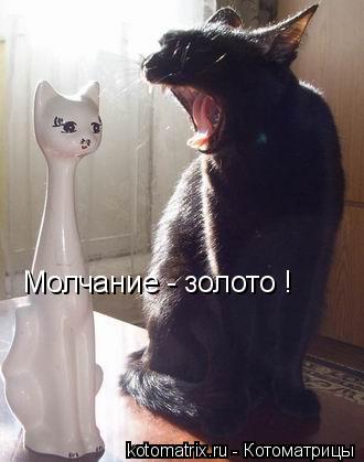 Котоматрица: Молчание - золото !