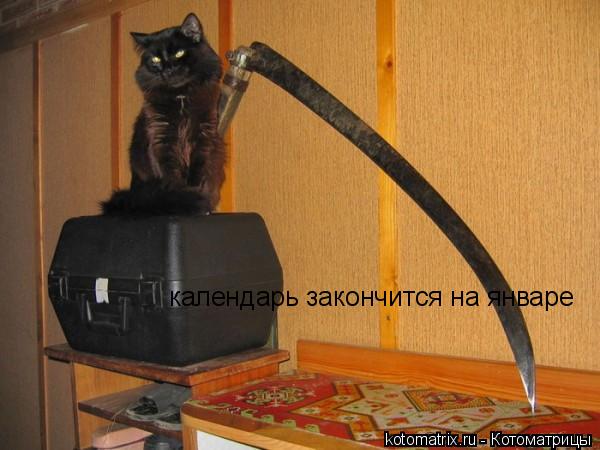 Котоматрица: календарь закончится на январе