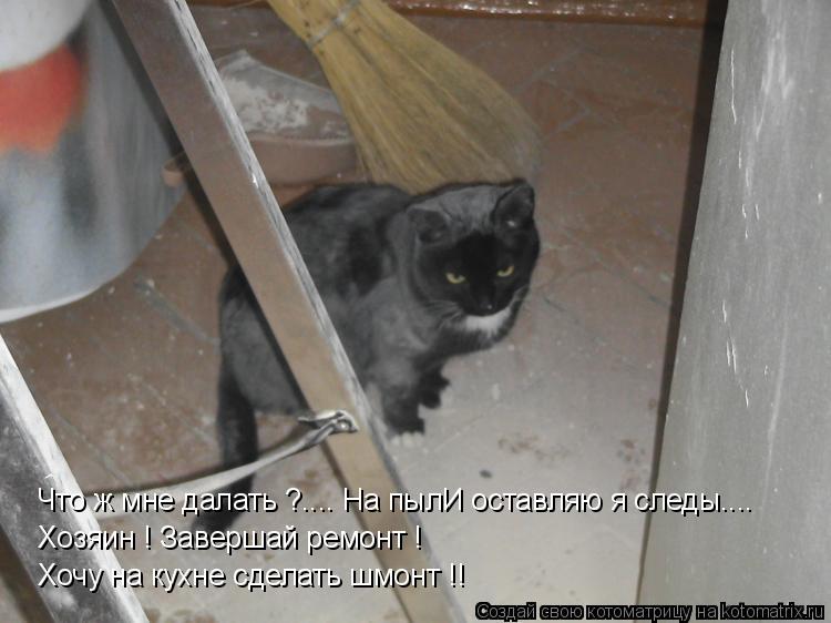 Котоматрица: Что ж мне далать ?.... На пылИ оставляю я следы.... Хозяин ! Завершай ремонт ! Хочу на кухне сделать шмонт !!