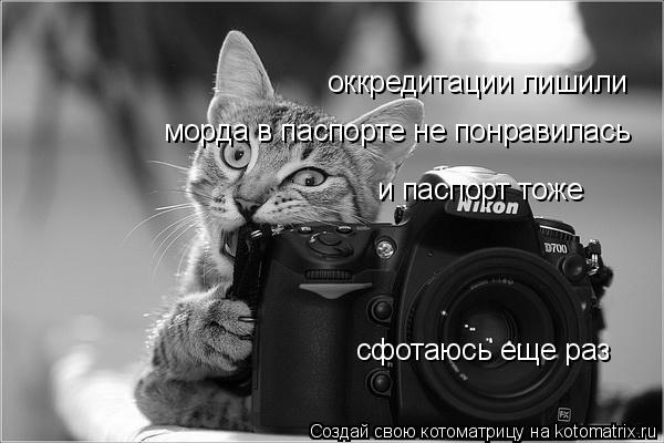 Котоматрица: оккредитации лишили морда в паспорте не понравилась и паспорт тоже сфотаюсь еще раз