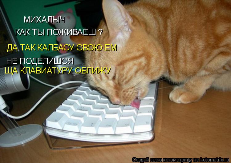 Котоматрица: МИХАЛЫЧ КАК ТЫ ПОЖИВАЕШ ? ДА ТАК КАЛБАСУ СВОЮ ЕМ НЕ ПОДЕЛИШСЯ ЩА КЛАВИАТУРУ ОБЛИЖУ