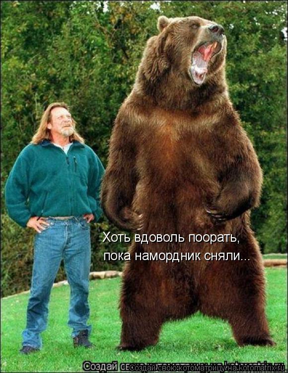 Котоматрица: Хоть вдоволь поорать, пока намордник сняли...