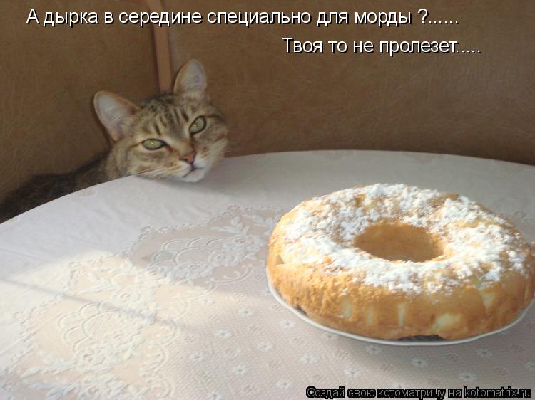 Котоматрица: А дырка в середине специально для морды ?...... Твоя то не пролезет.....