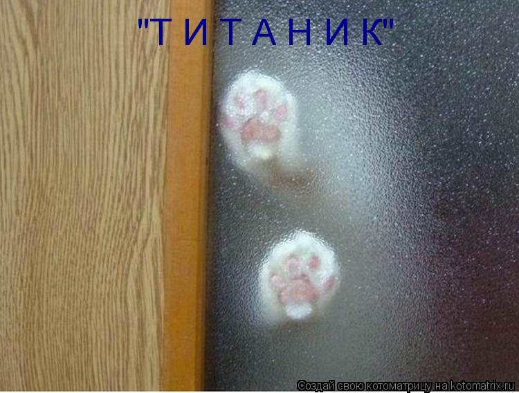 Котоматрица: "Т И Т А Н И К"