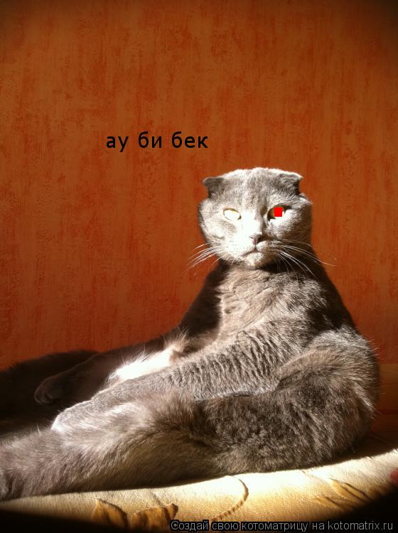 Котоматрица: . ау би бек