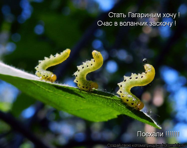 Котоматрица: Стать Гагариным хочу ! Счас в воланчик заскочу ! Поехали !!!!!!!