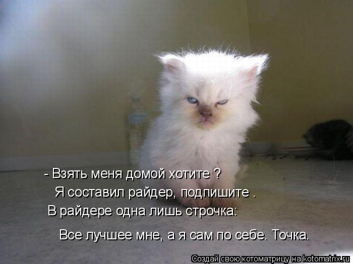 Котоматрица: - Взять меня домой хотите ? Я составил райдер, подпишите . В райдере одна лишь строчка: Все лучшее мне, а я сам по себе. Точка.