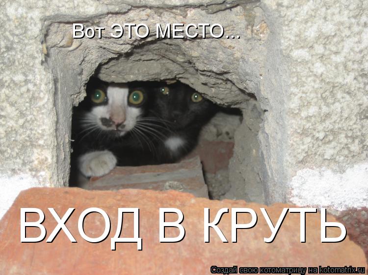 Котоматрица: Вот ЭТО МЕСТО... ВХОД В КРУТЬ