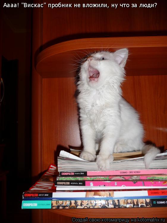 Котоматрица: Аааа! "Вискас" пробник не вложили, ну что за люди?