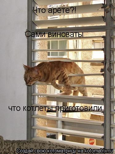 Котоматрица: Сами виноваты что котлеты приготовили Что арёте?!
