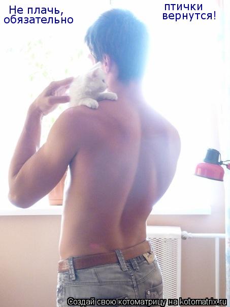 Котоматрица: Не плачь, птички обязательно вернутся!