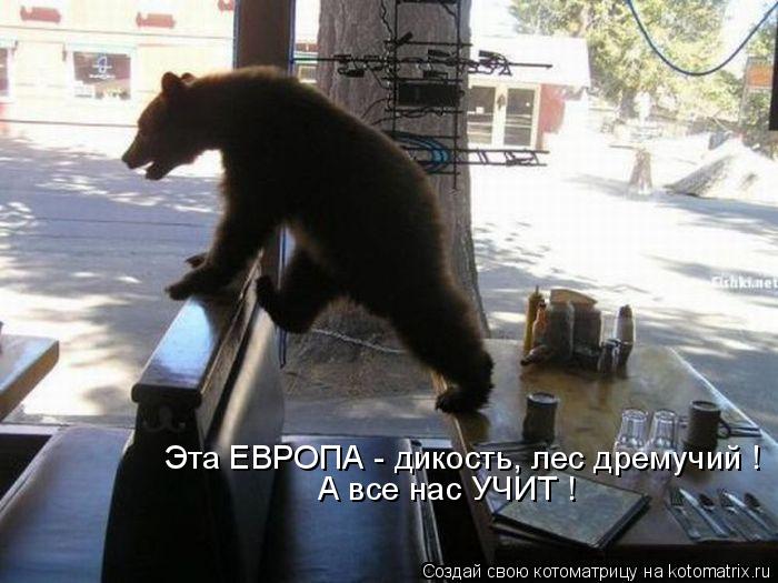 Котоматрица: А все нас УЧИТ ! Эта ЕВРОПА - дикость, лес дремучий !