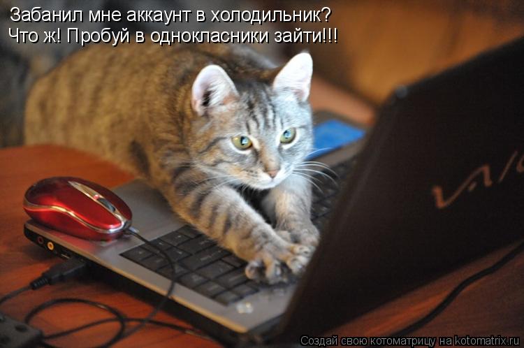 Котоматрица: Забанил мне аккаунт в холодильник? Что ж! Пробуй в однокласники зайти!!!
