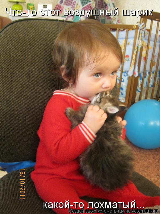 Котоматрица: Что-то этот воздушный шарик какой-то лохматый...