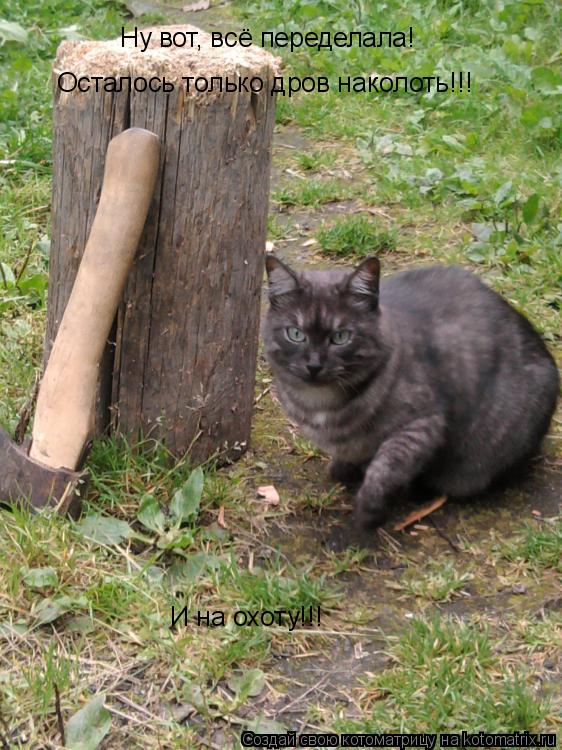 Котоматрица: Ну вот, всё переделала!  Осталось только дров наколоть!!! И на охоту!!!