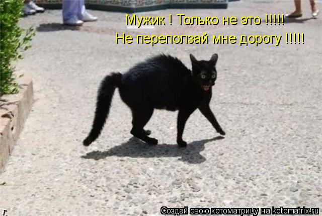 Котоматрица: Мужик ! Только не это !!!!! Не переползай мне дорогу !!!!!